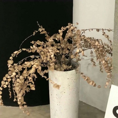 卓资福瑞交流群